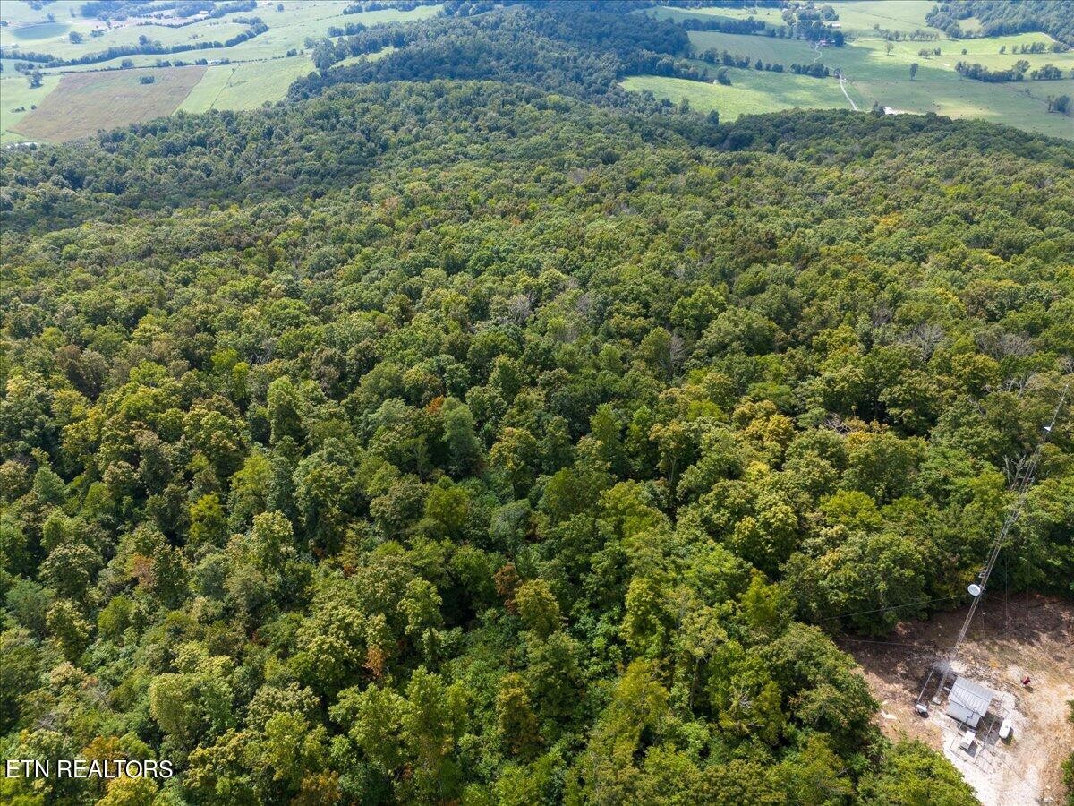 0 Fire Tower 23.2 Ac Road Sparta, TN 38583 - Photo 7 of 18 Gallery Image 7