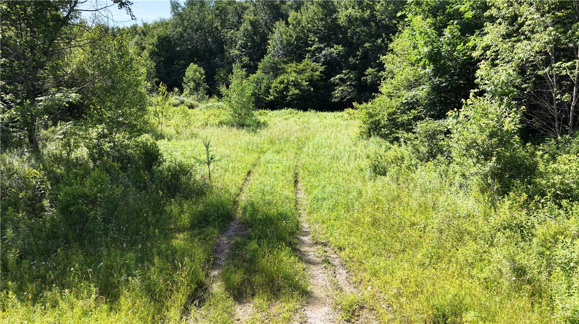 409 Cty Road Cincinnatus, NY 13040 - Photo 20 of 29