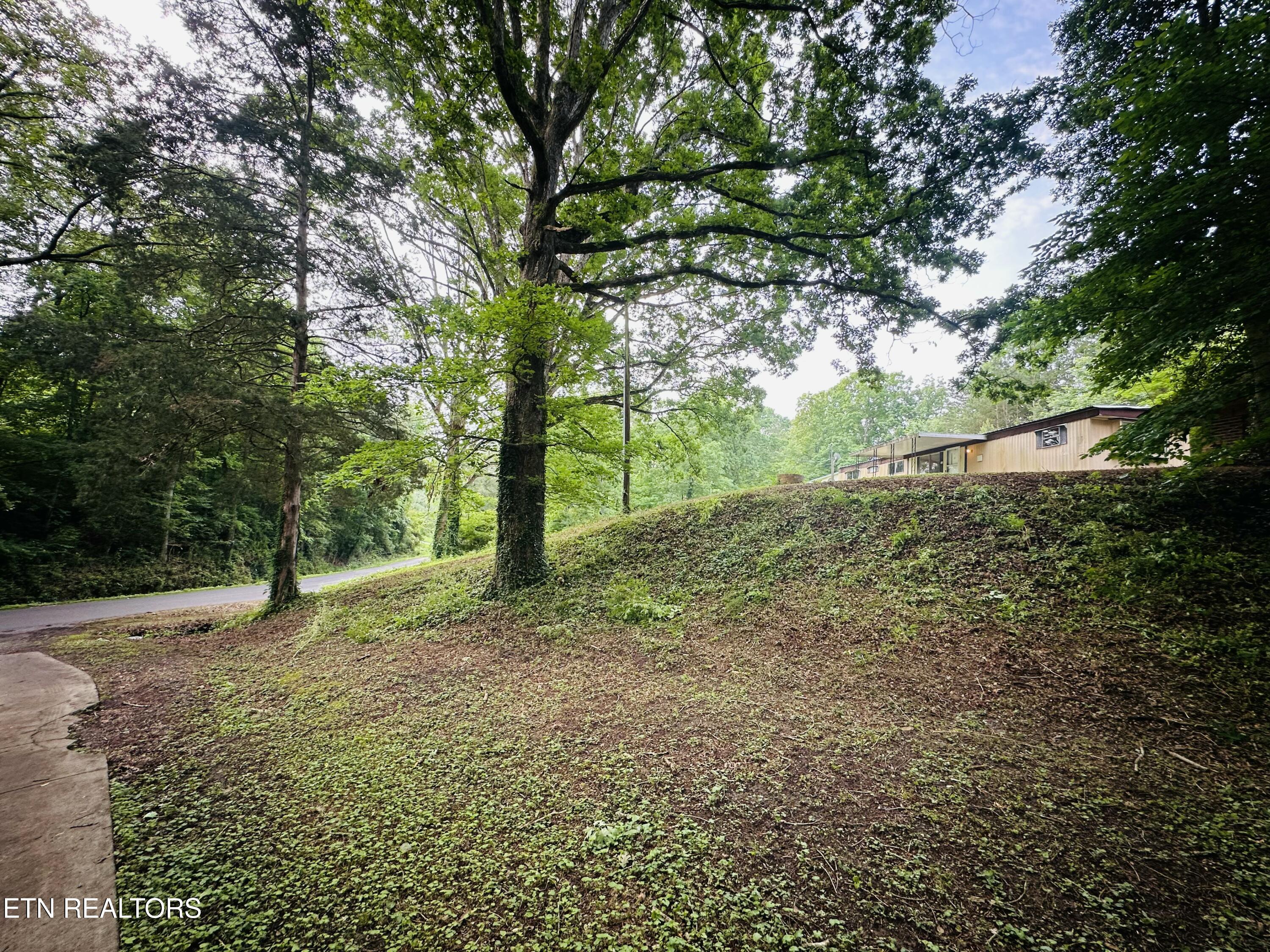 1238 Double S Road Dayton, TN 37321 - Photo 2 of 24 IMG_5312