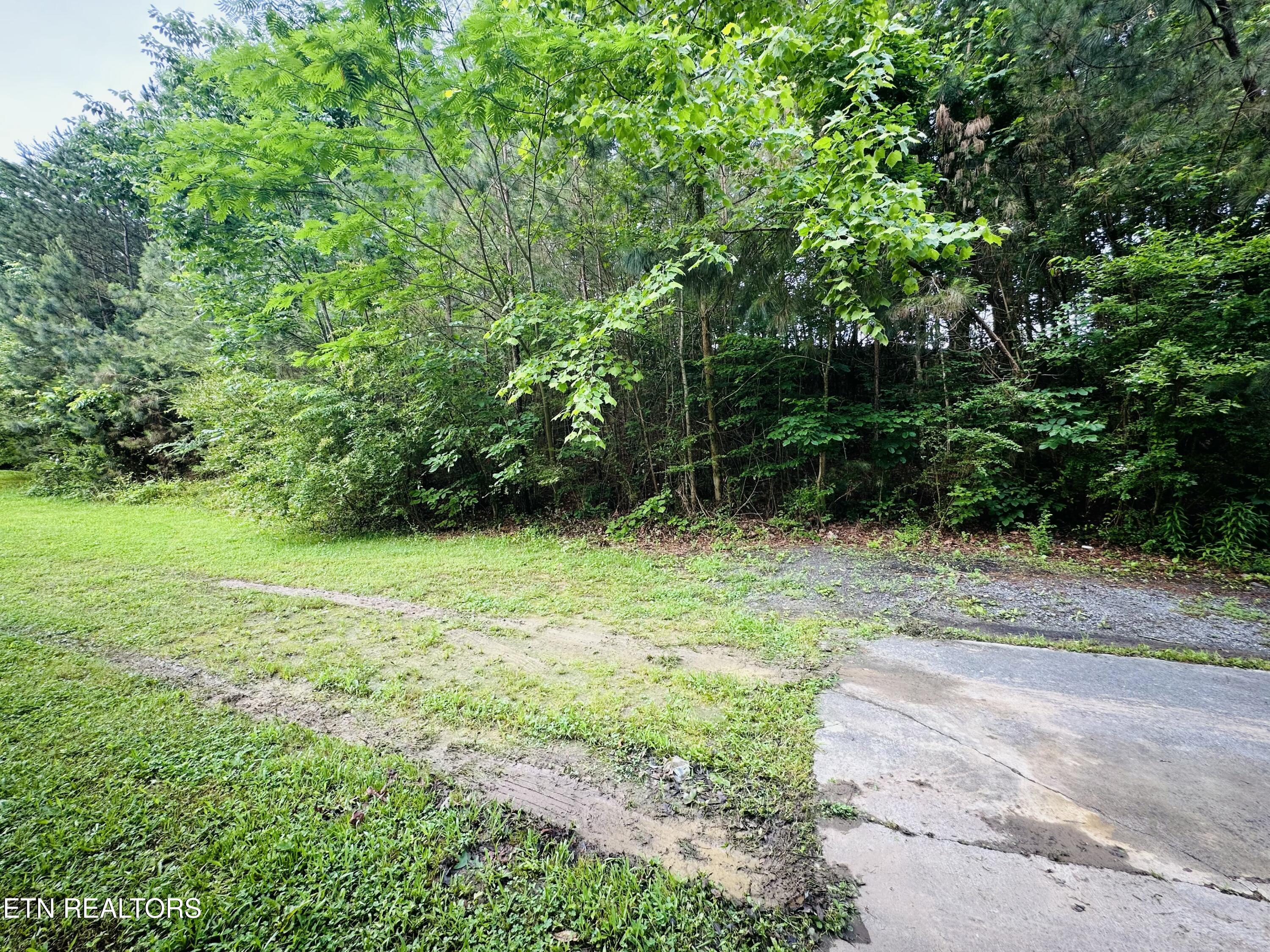 1238 Double S Road Dayton, TN 37321 - Photo 23 of 24 IMG_5334