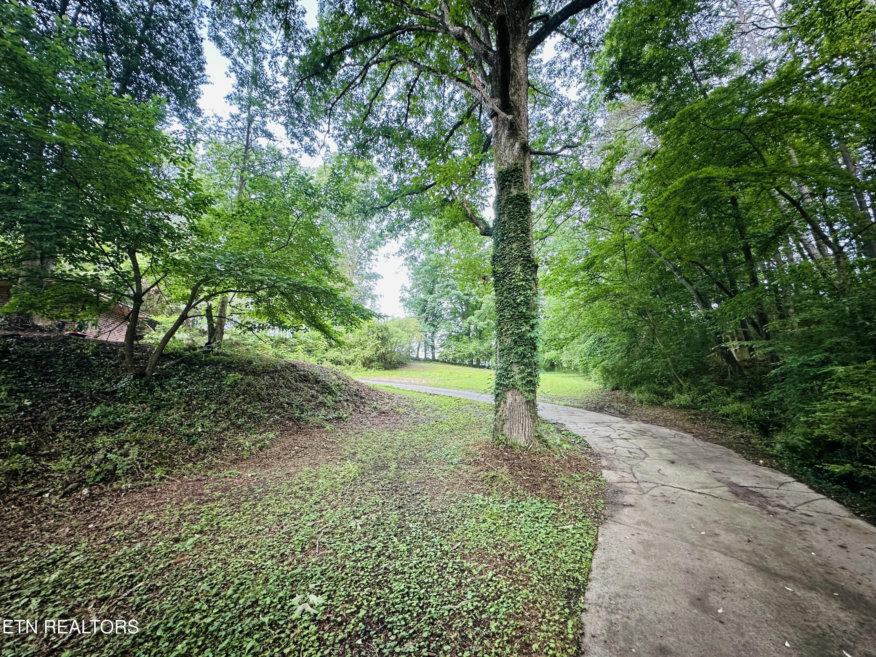 1238 Double S Road Dayton, TN 37321 - Photo 3 of 24 IMG_5313