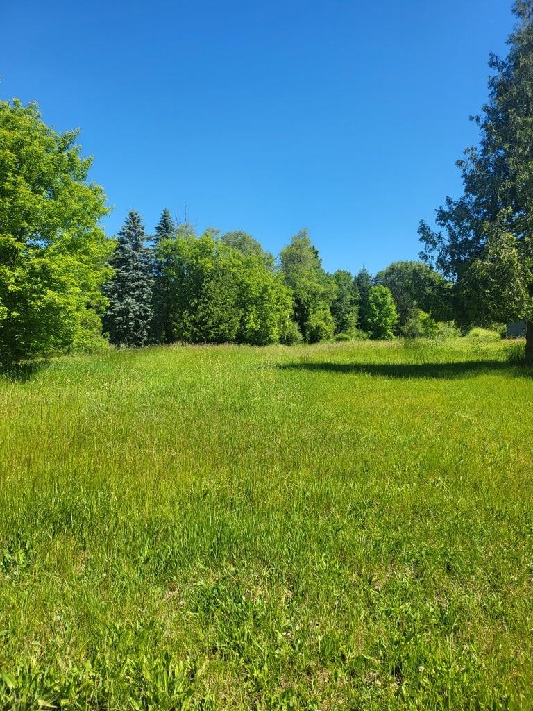4957 East Valley Road Mount Pleasant, MI 48858 - Photo 5 of 6