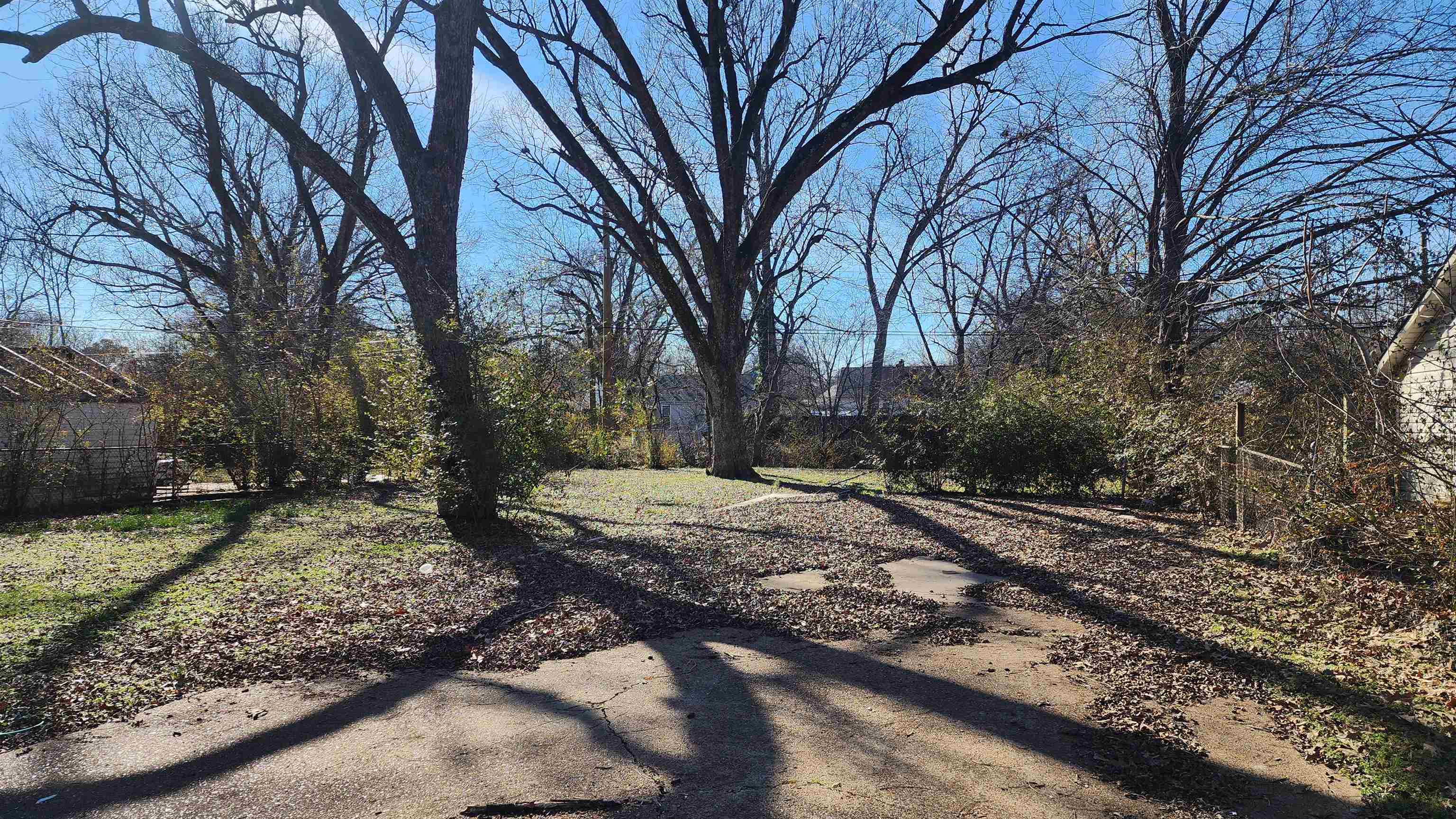 1069 McEvers Road Memphis, TN 38111 - Photo 5 of 12 a view of a yard with a trees