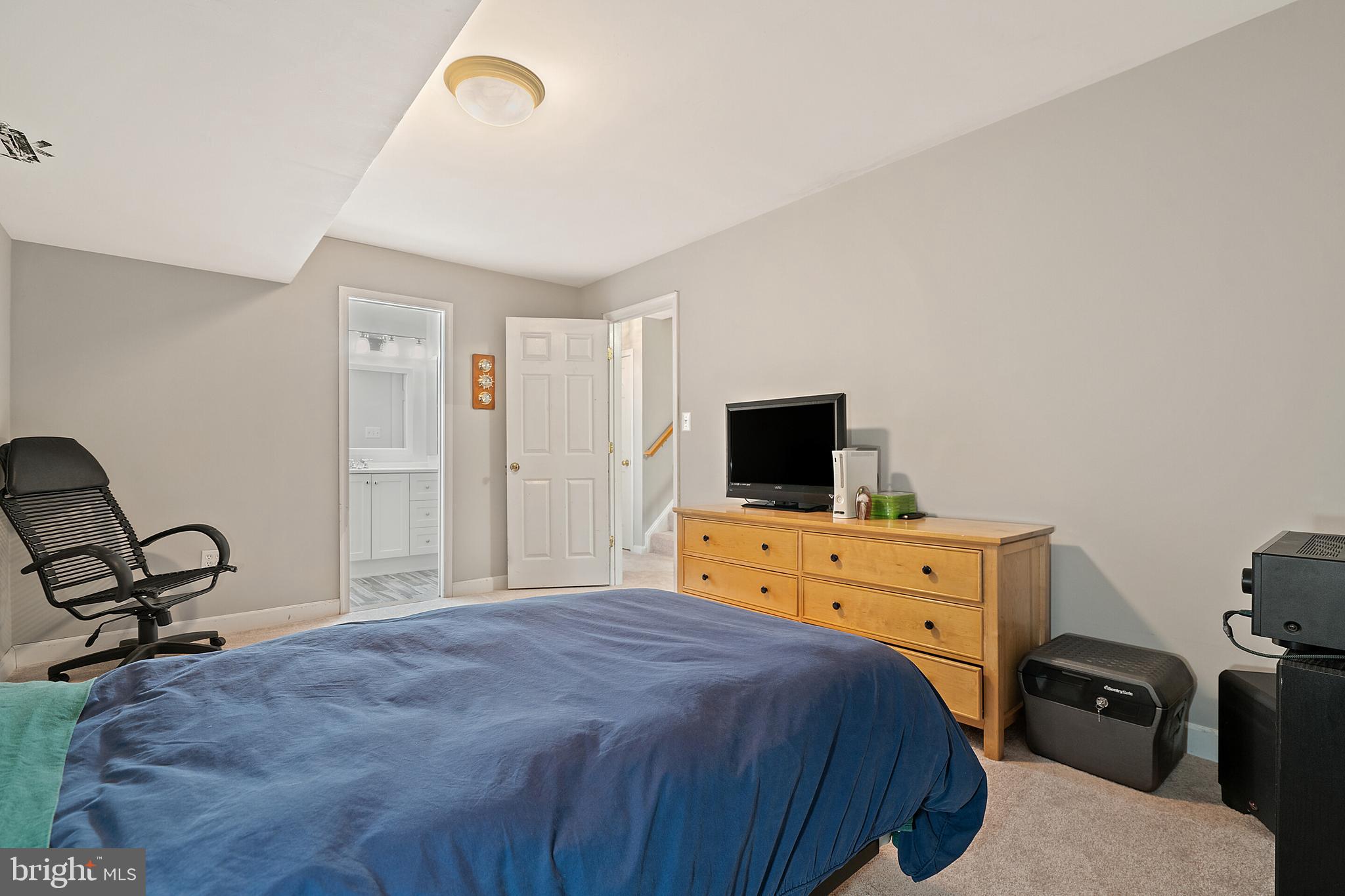 18279 Maple Spring Court Leesburg, VA 20176 - Photo 43 of 49 Lower Level Fin. Room (Add'l Bedroom / Storage)