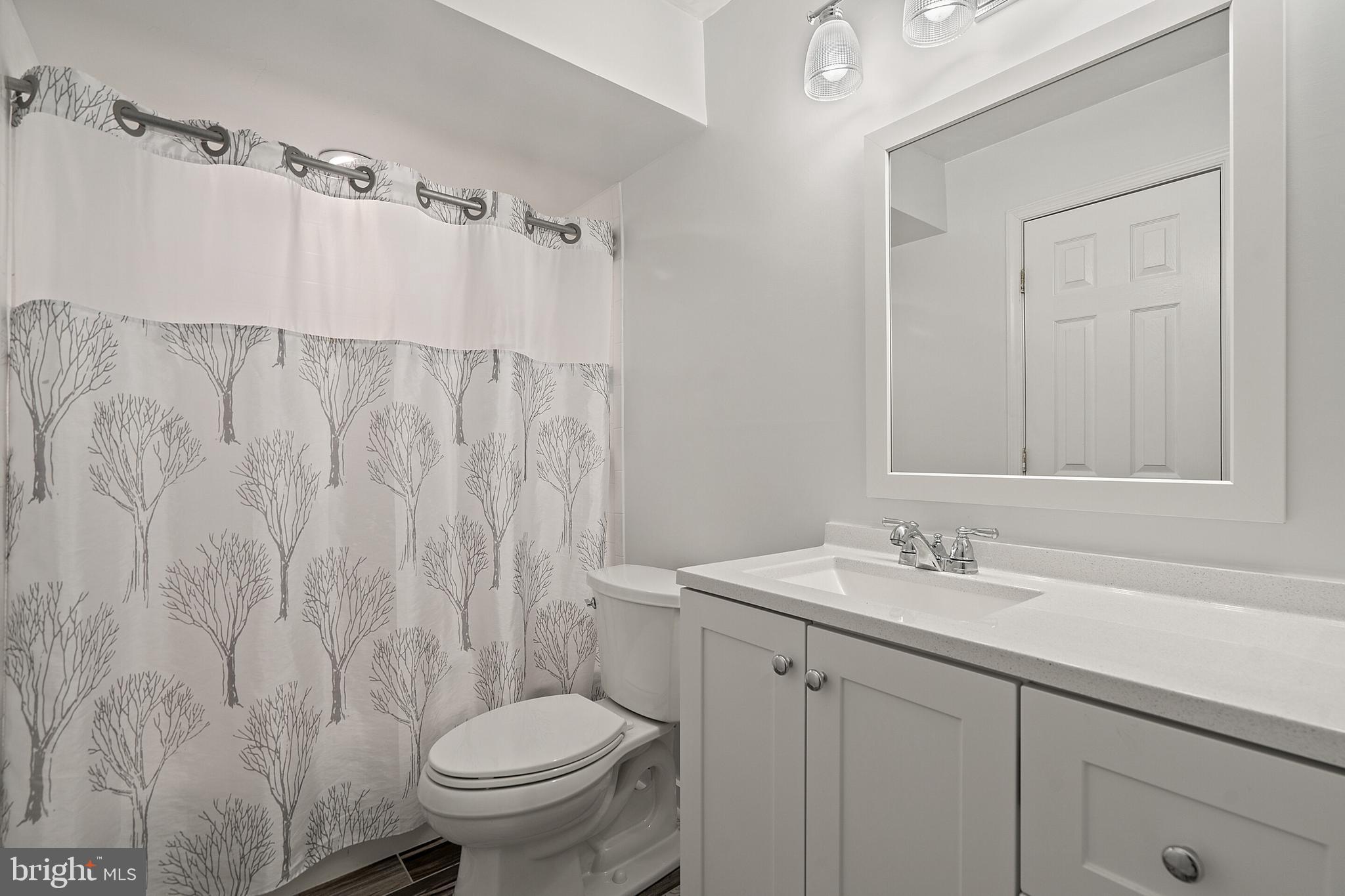 18279 Maple Spring Court Leesburg, VA 20176 - Photo 44 of 49 Lower Level Renovated Full Bathroom