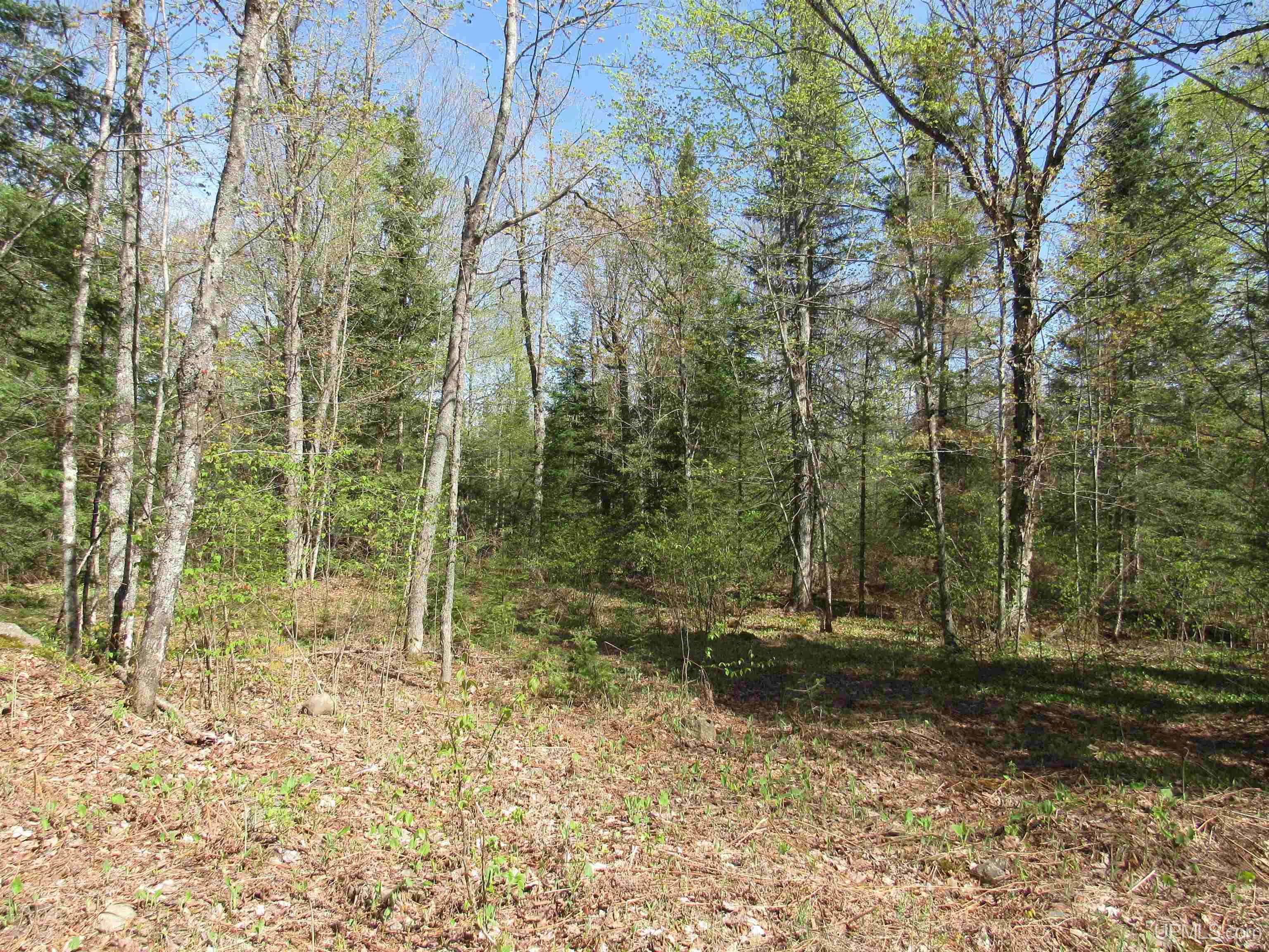 Tbd Us 141 Road, Unit LUKES ROAD Amasa, MI 49903 - Photo 5 of 22