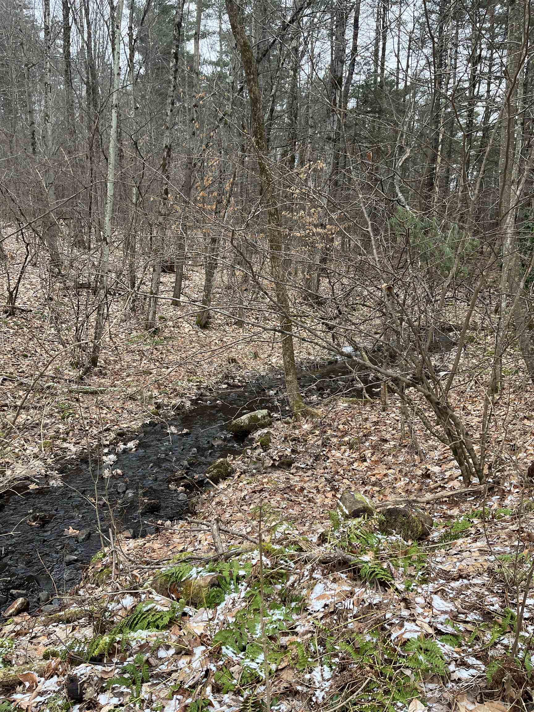 134 Pond Road Mendon, VT 05701 - Photo 29 of 40 Gallery Image 29