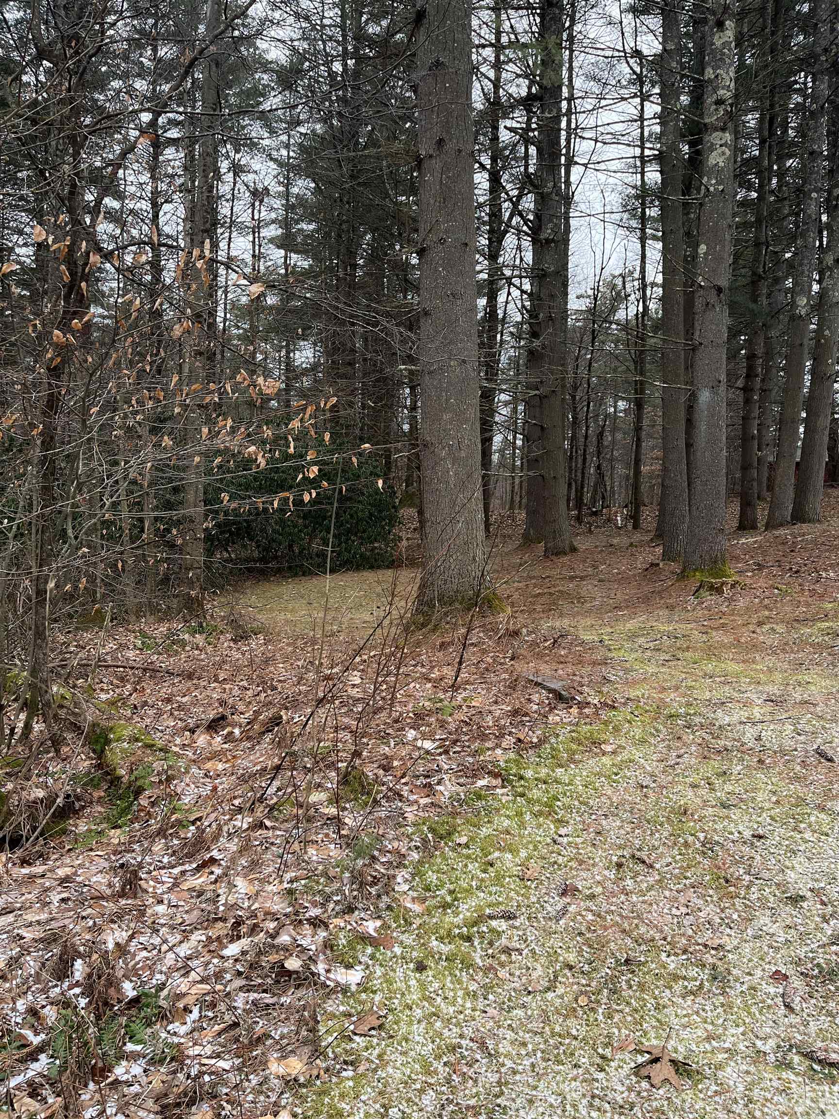 134 Pond Road Mendon, VT 05701 - Photo 30 of 40 Gallery Image 30