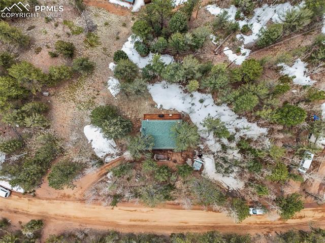 580 Timber Ridge Road Divide, CO 80814 - Photo 29 of 29