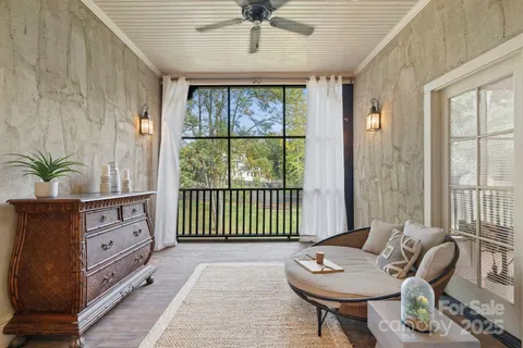 a view of a park with large trees