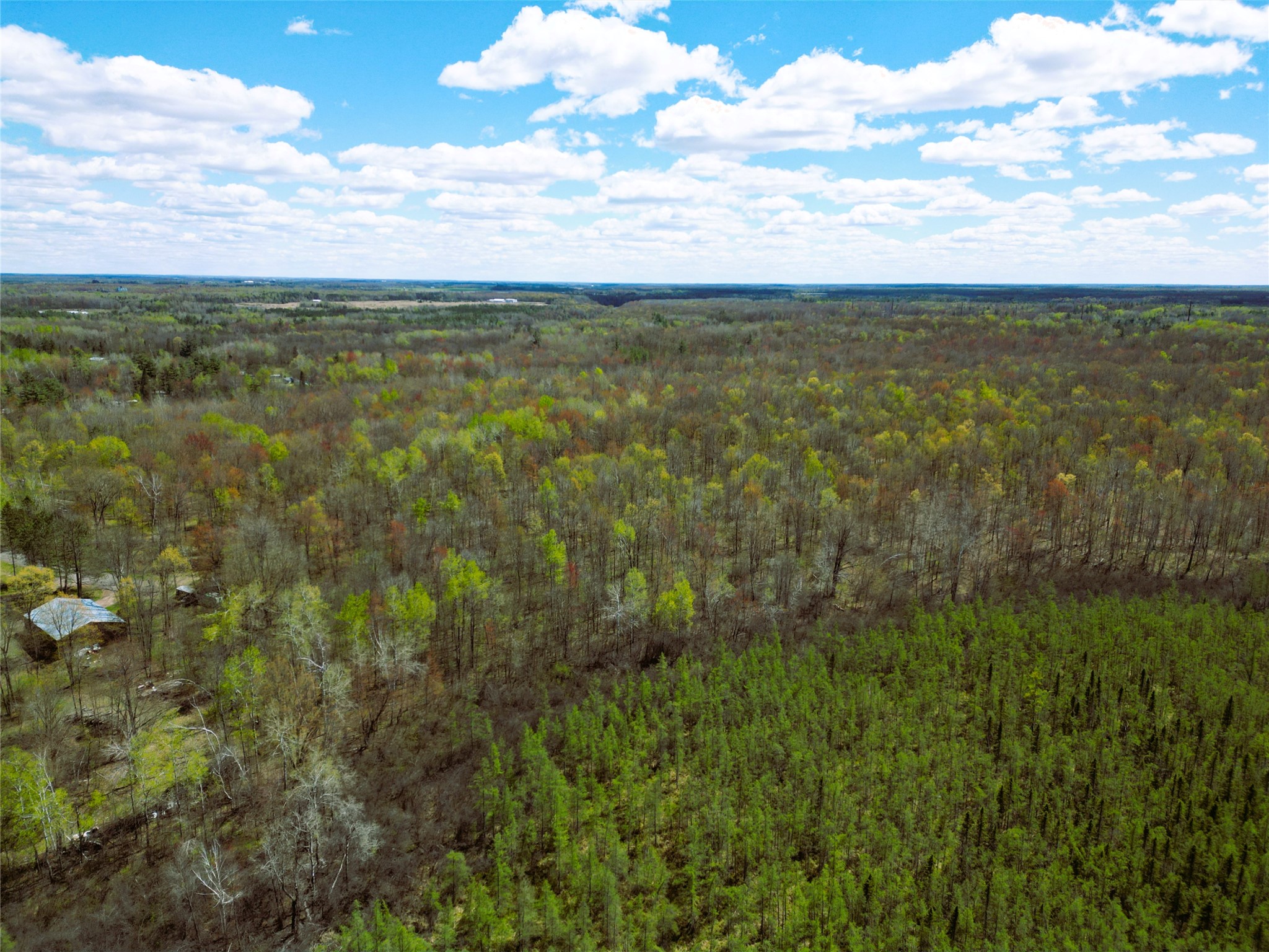 96 White Birch Ridge Road Ladysmith, WI 54848 - Photo 10 of 13