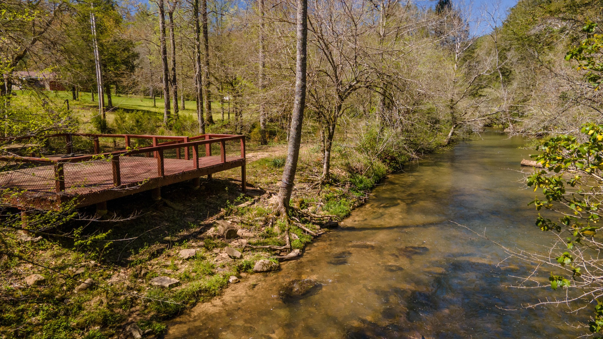 1487 Spring Creek Road Reliance, TN 37369 - Photo 4 of 55 Gallery Image 4