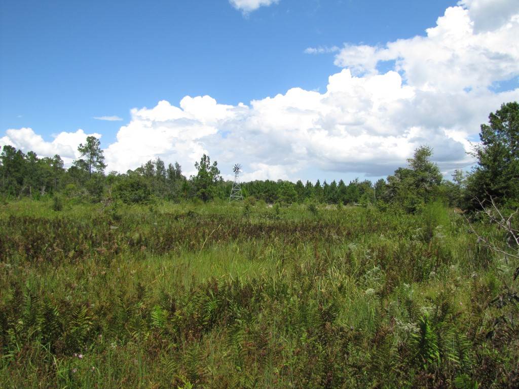 0 Southwest San Pedro Road, Unit EXTREMELY RURAL NO FLA Madison, FL 32340 - Photo 27 of 35 Gallery Image 27