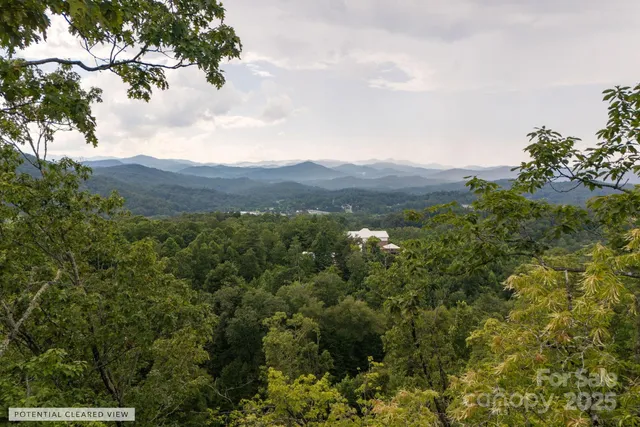 a view of a mountain range with lush green forest