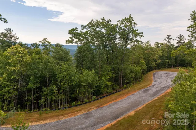 a view of a road with a yard