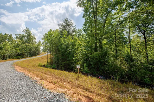 a view of a yard with potted plants and large trees