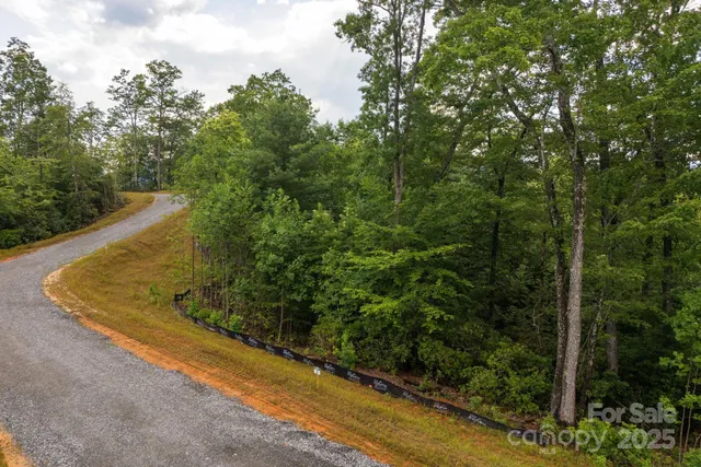 a view of a bird bath