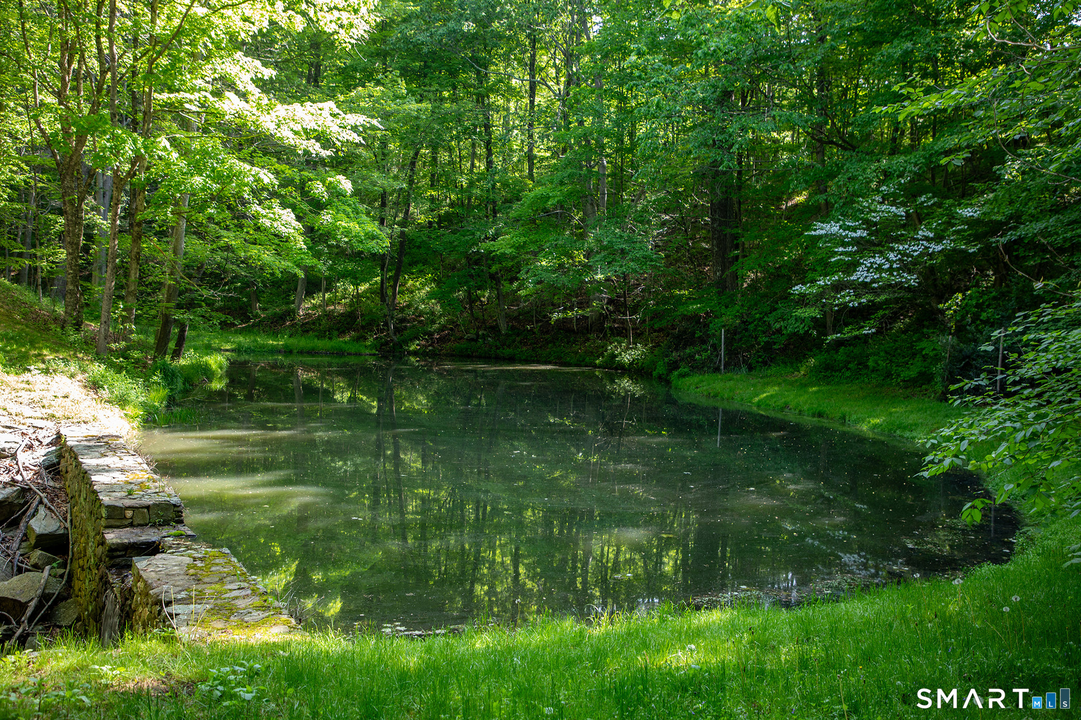 20 Painter Hill Road Roxbury, CT 06783 - Photo 11 of 18 a backyard of a house with lots of green space and chair