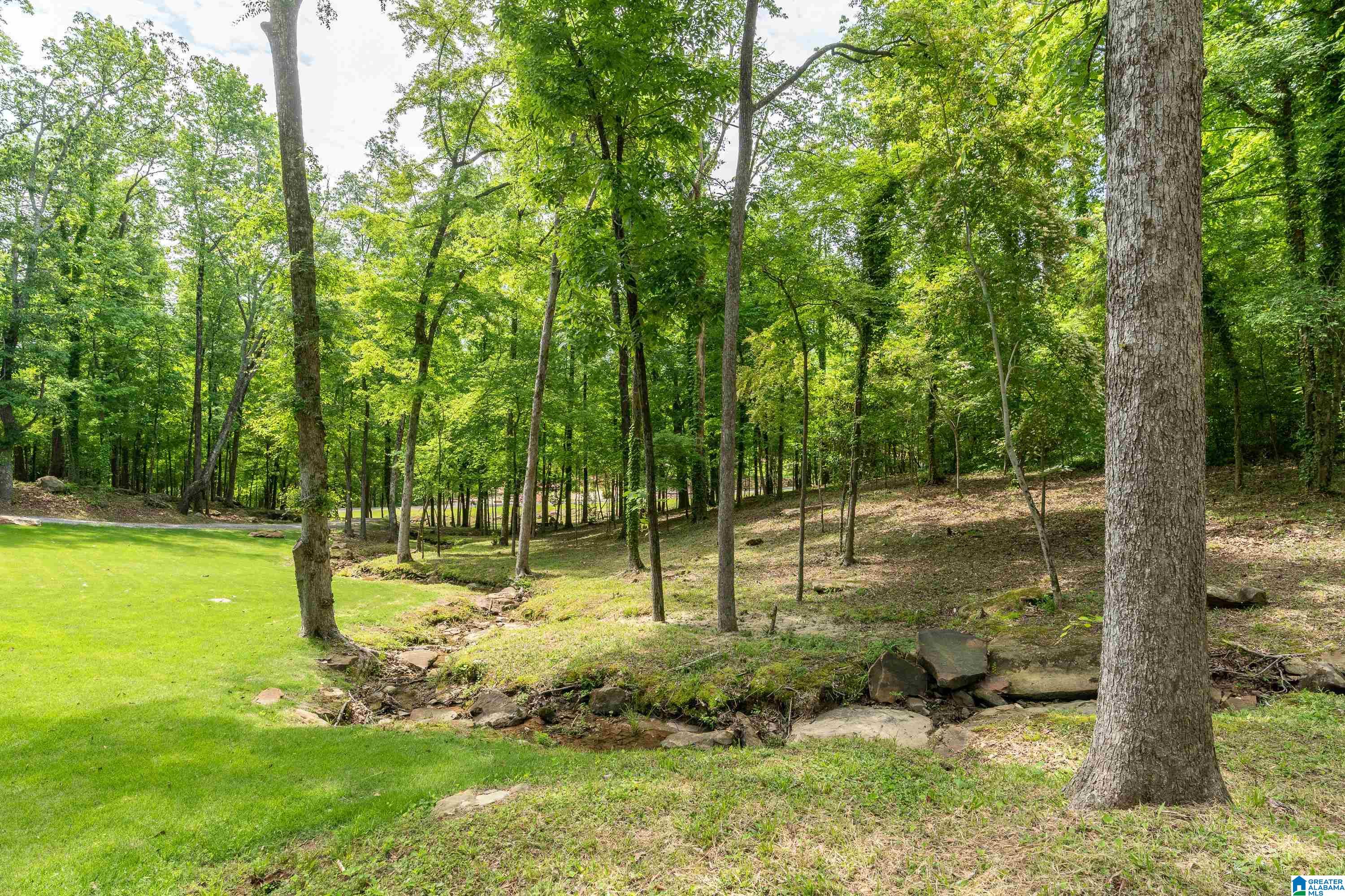 3128 Old Ivy Road Birmingham, AL 35210 - Photo 63 of 73