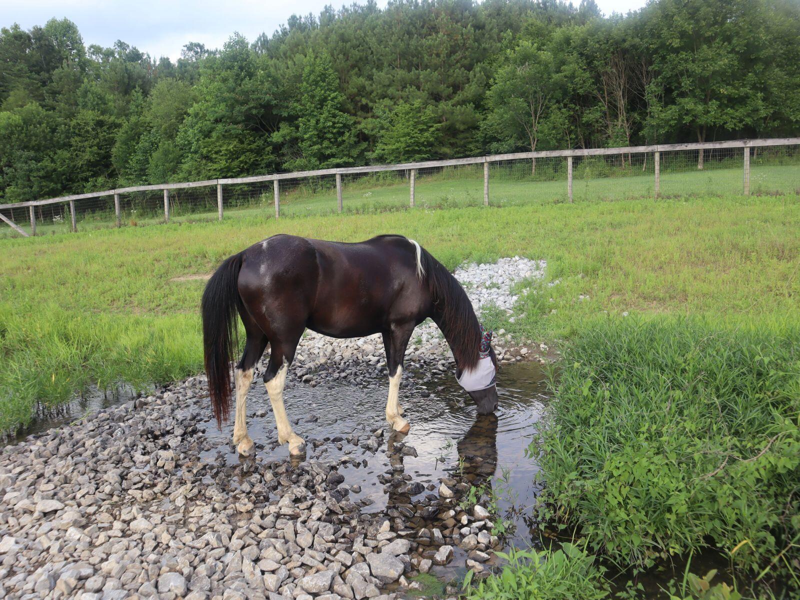 1399 Candies Creek Road Southwest McDonald, TN 37353 - Photo 19 of 66 45