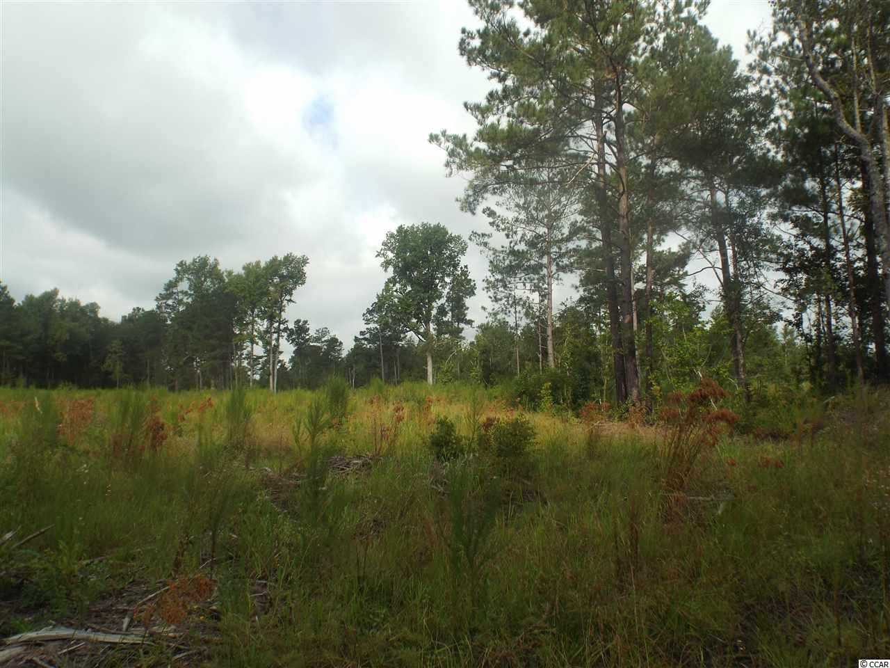 Tbd East Sellers Road Marion, SC 29571 - Photo 8 of 9 Gallery Image 8