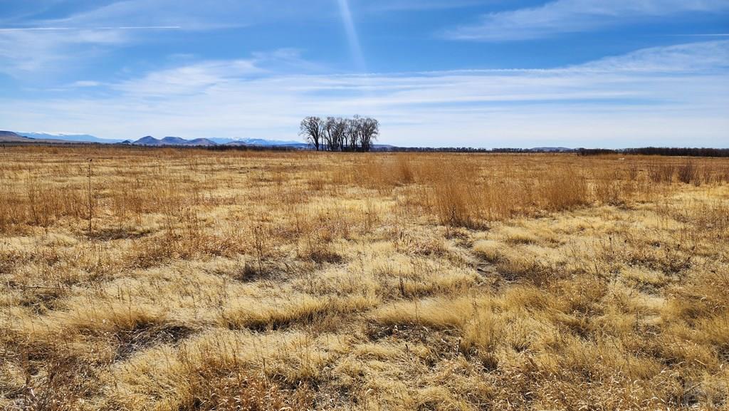 0 County Road Manassa, CO 81141 - Photo 8 of 20