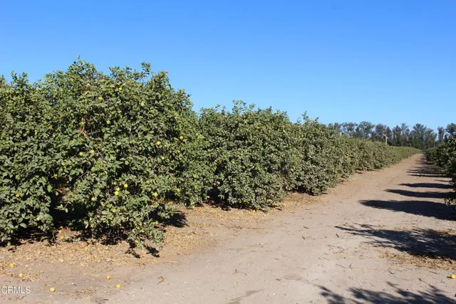 $3,875,000 | 0 Price Road, Somis, CA 93066