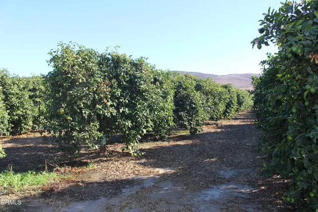 $3,875,000 | 0 Price Road, Somis, CA 93066