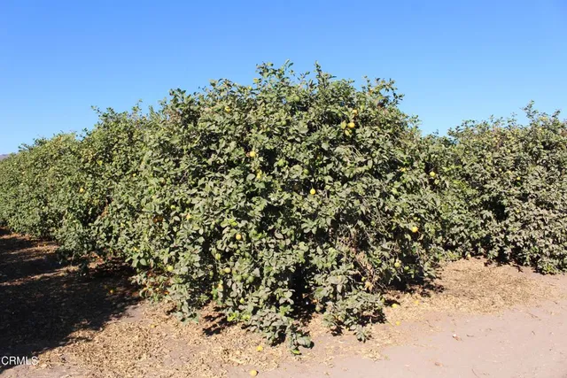 $3,875,000 | 0 Price Road, Somis, CA 93066