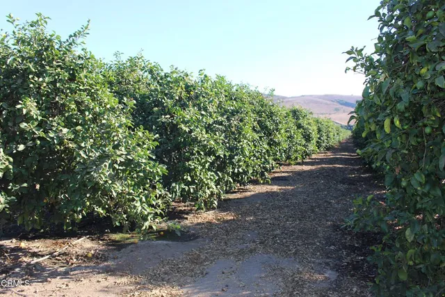 $3,875,000 | 0 Price Road, Somis, CA 93066