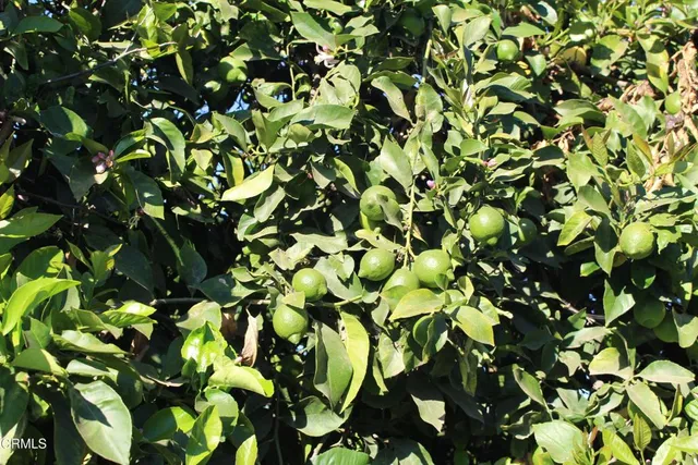 $3,875,000 | 0 Price Road, Somis, CA 93066