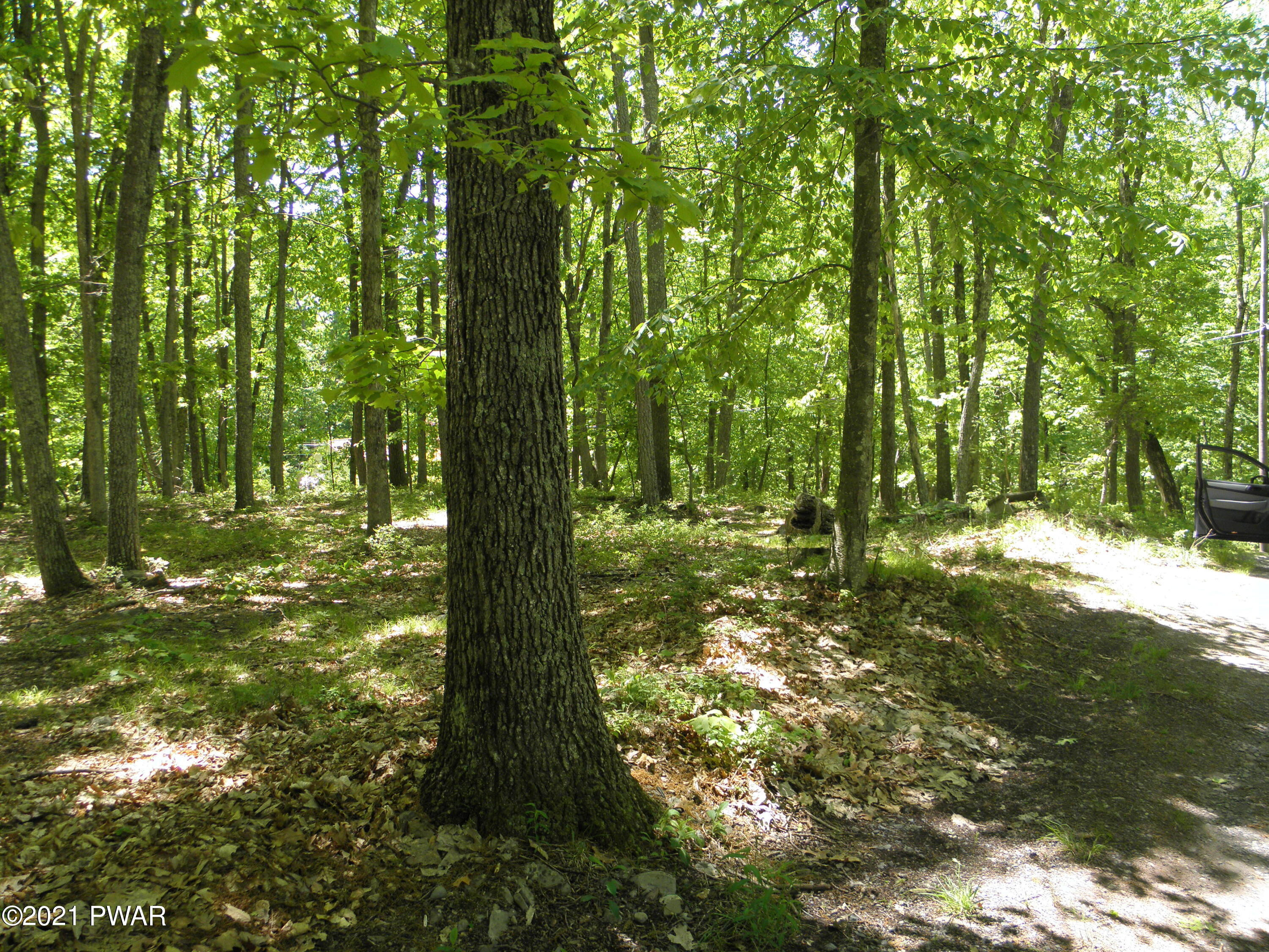 3 Rd Road Lake Road Hawley, PA 18428 - Photo 4 of 4