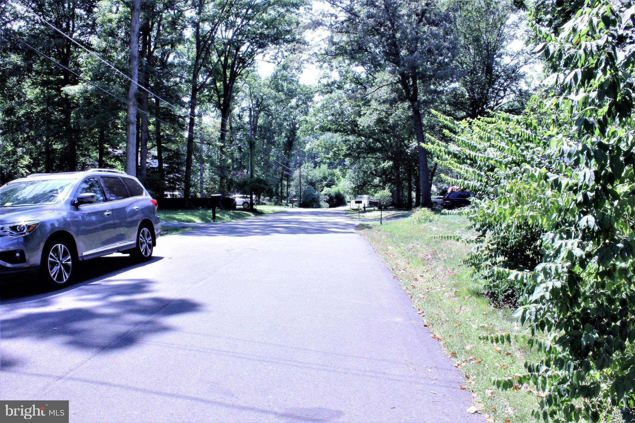 7101 Larrlyn Drive Springfield, VA 22151 - Photo 6 of 30 tranquility & privacy