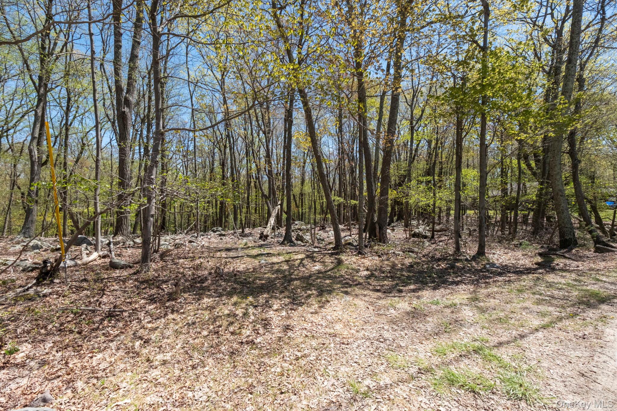 Canal Road Wurtsboro, NY 12790 - Photo 11 of 19