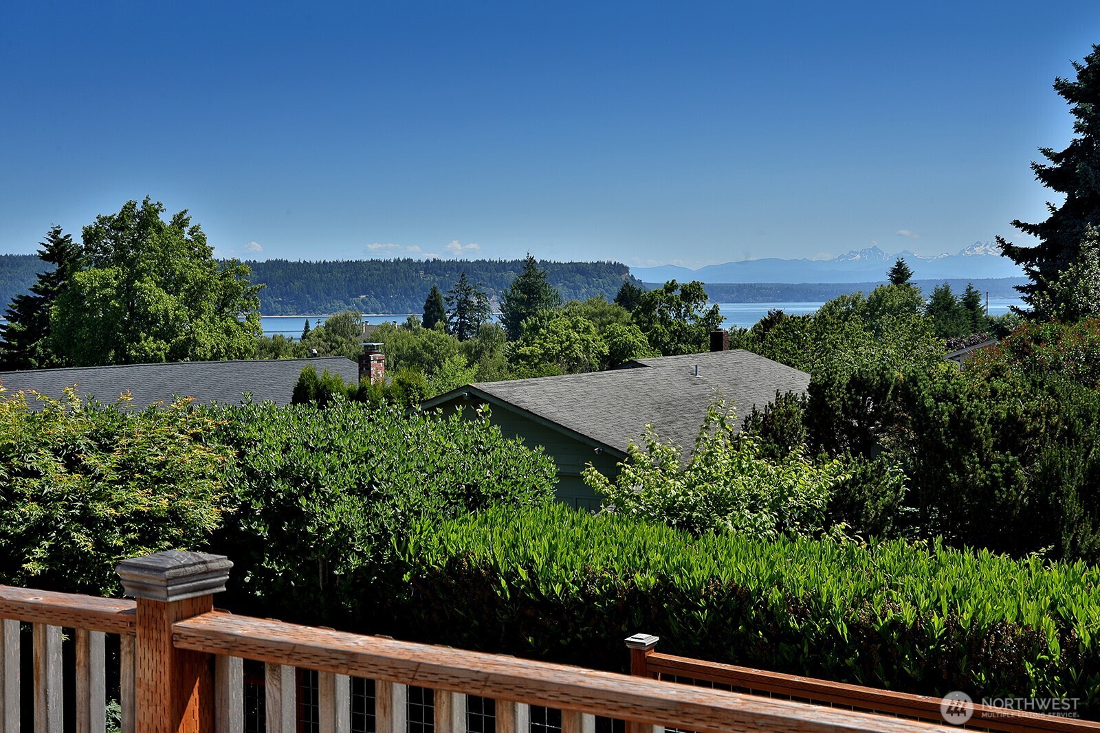 a view of a yard with plants and wooden fence