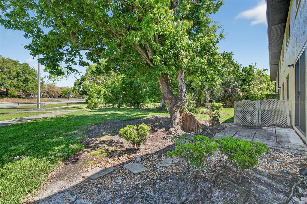 1601 Big Tree Road, Unit 101 South Daytona, FL 32119 - Photo 19 of 21