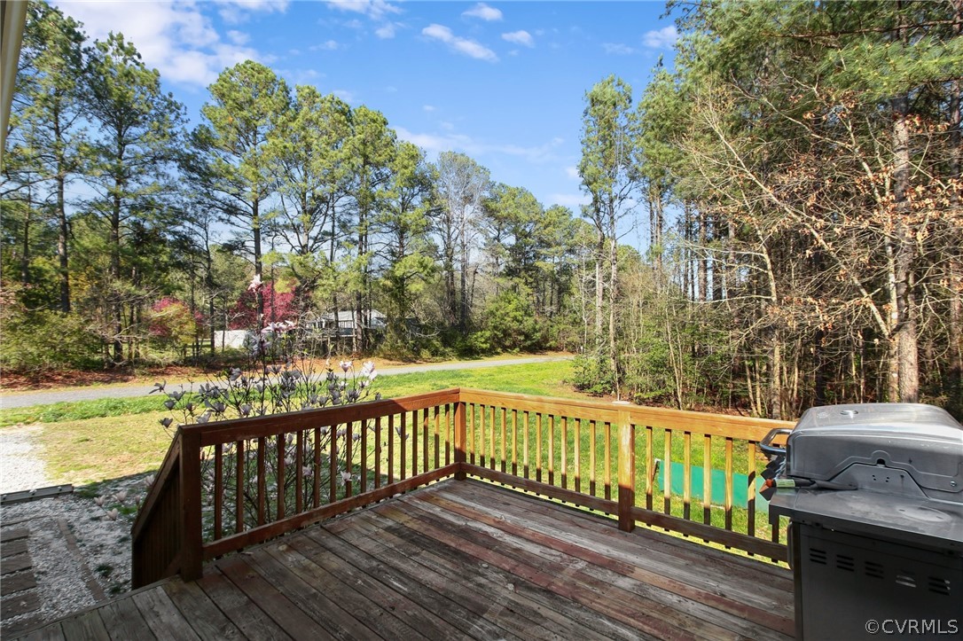 16753 Jolly Road Disputanta, VA 23842 - Photo 24 of 25 Gallery Image 24