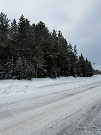 $25,000 | Tbd Tannery Road, Manistique, MI 49854