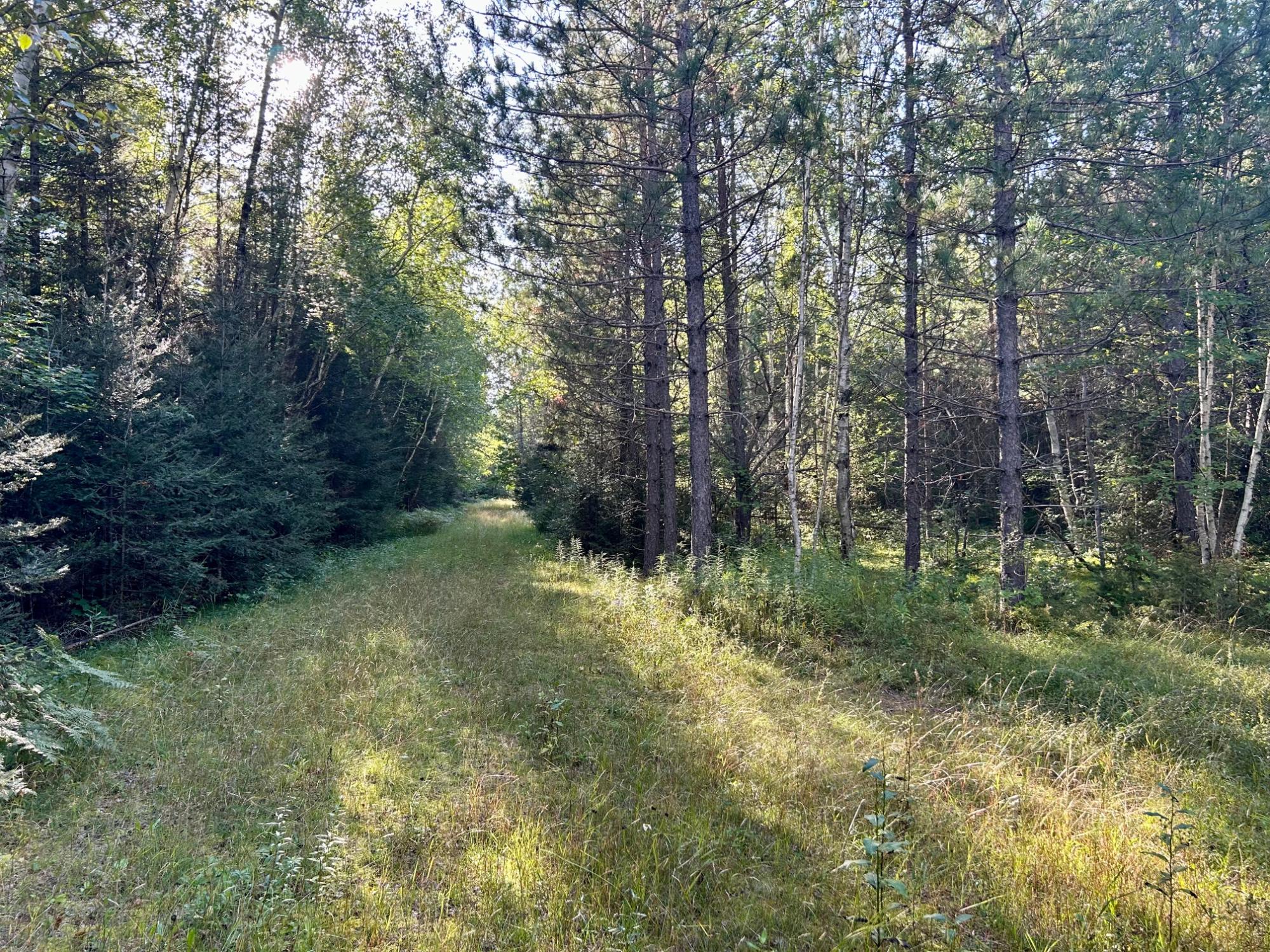 4808 Alderton Road Laona, WI 54541 - Photo 1 of 14 Gallery Image 1