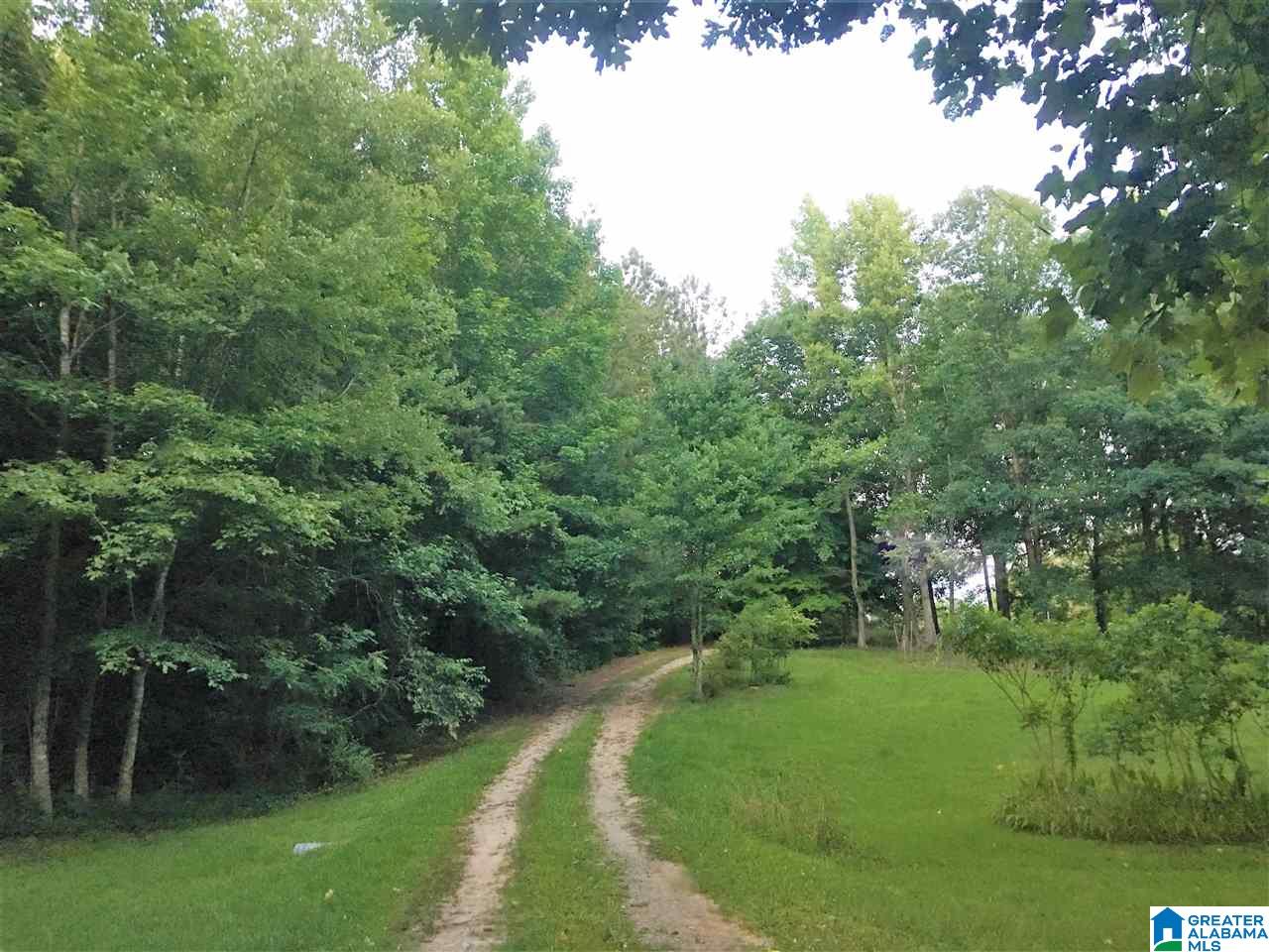 9255 County Road 65 Fruithurst, AL 36262 - Photo 40 of 44