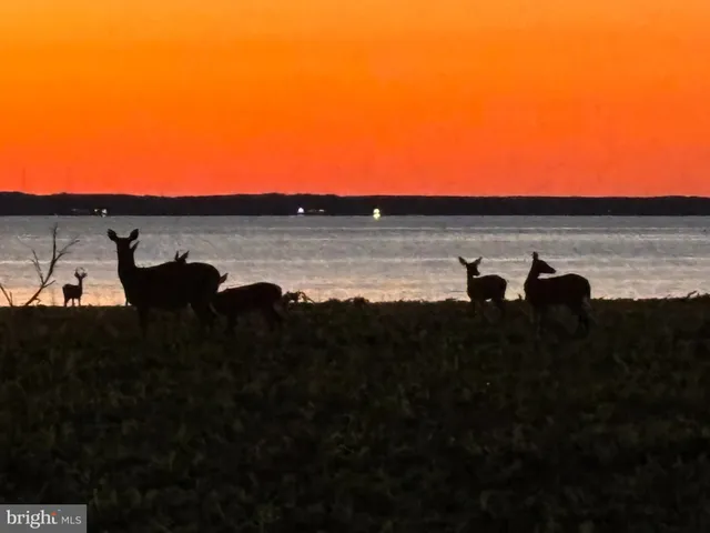 a view of a lake view