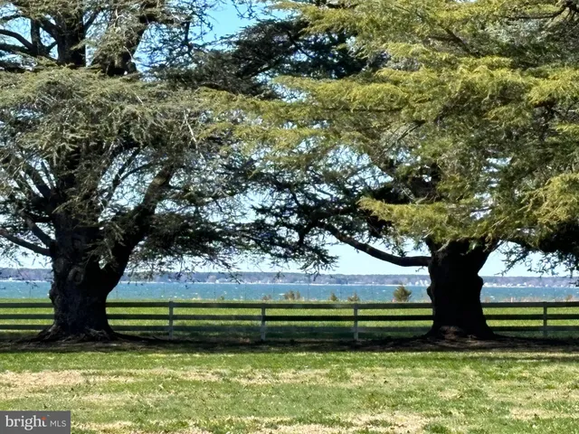 a view of an ocean beach