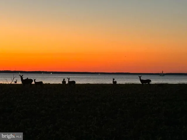 $7,900,000 | 10770 Rich Neck Road, Claiborne, MD 21624