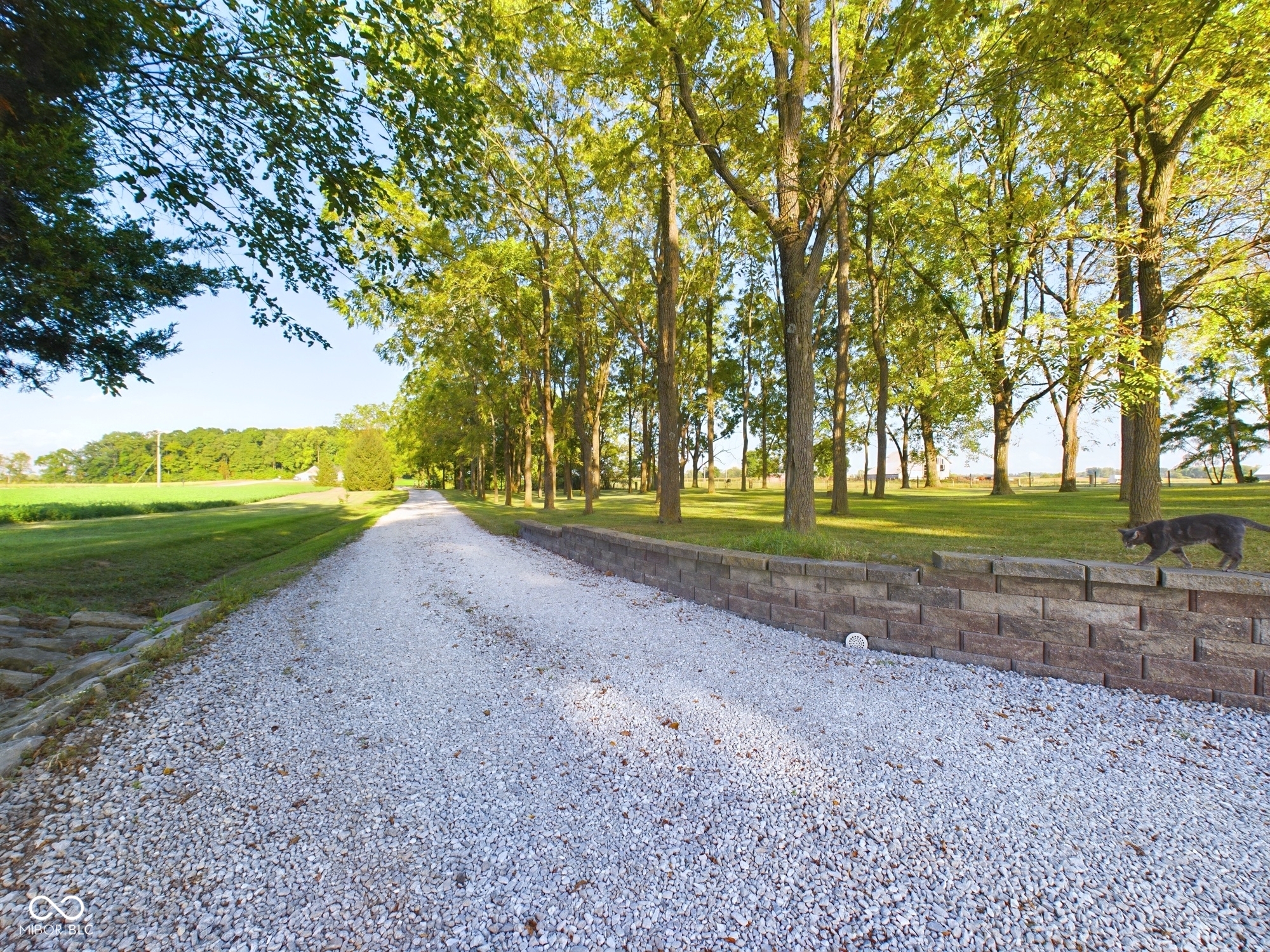 8343 North Rushville Road Carthage, IN 46115 - Photo 61 of 80 Gallery Image 61