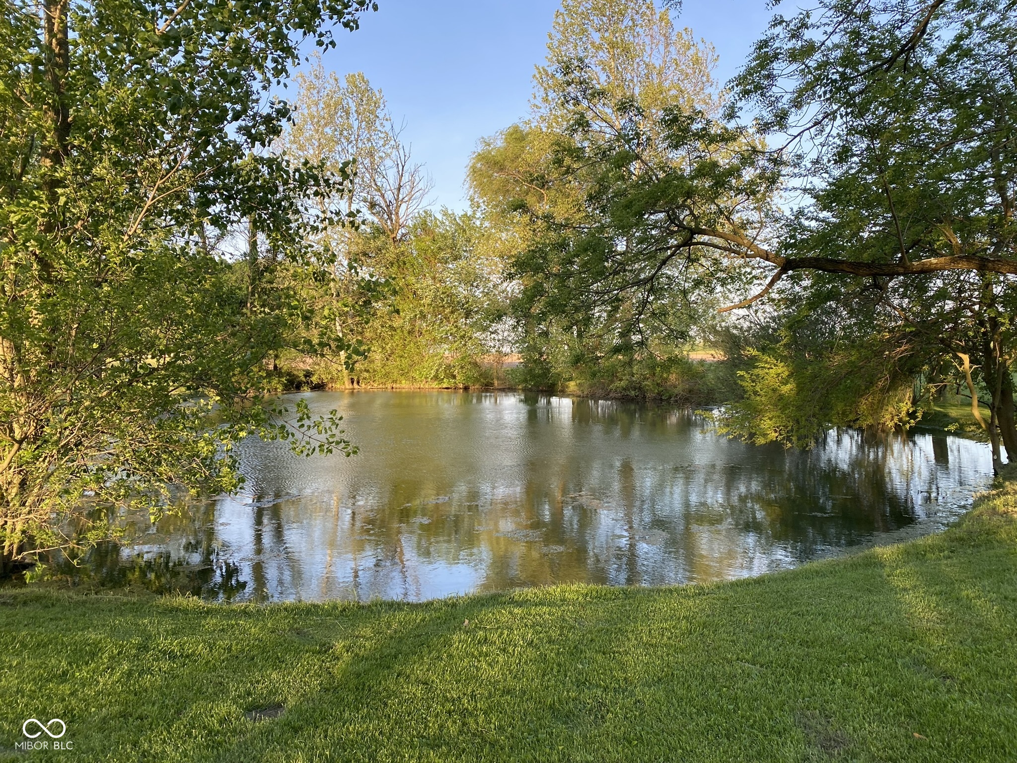 8343 North Rushville Road Carthage, IN 46115 - Photo 62 of 80 Gallery Image 62
