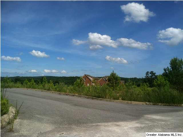 Old Acton Road, Unit 55 Moody, AL 35004 - Photo 9 of 9