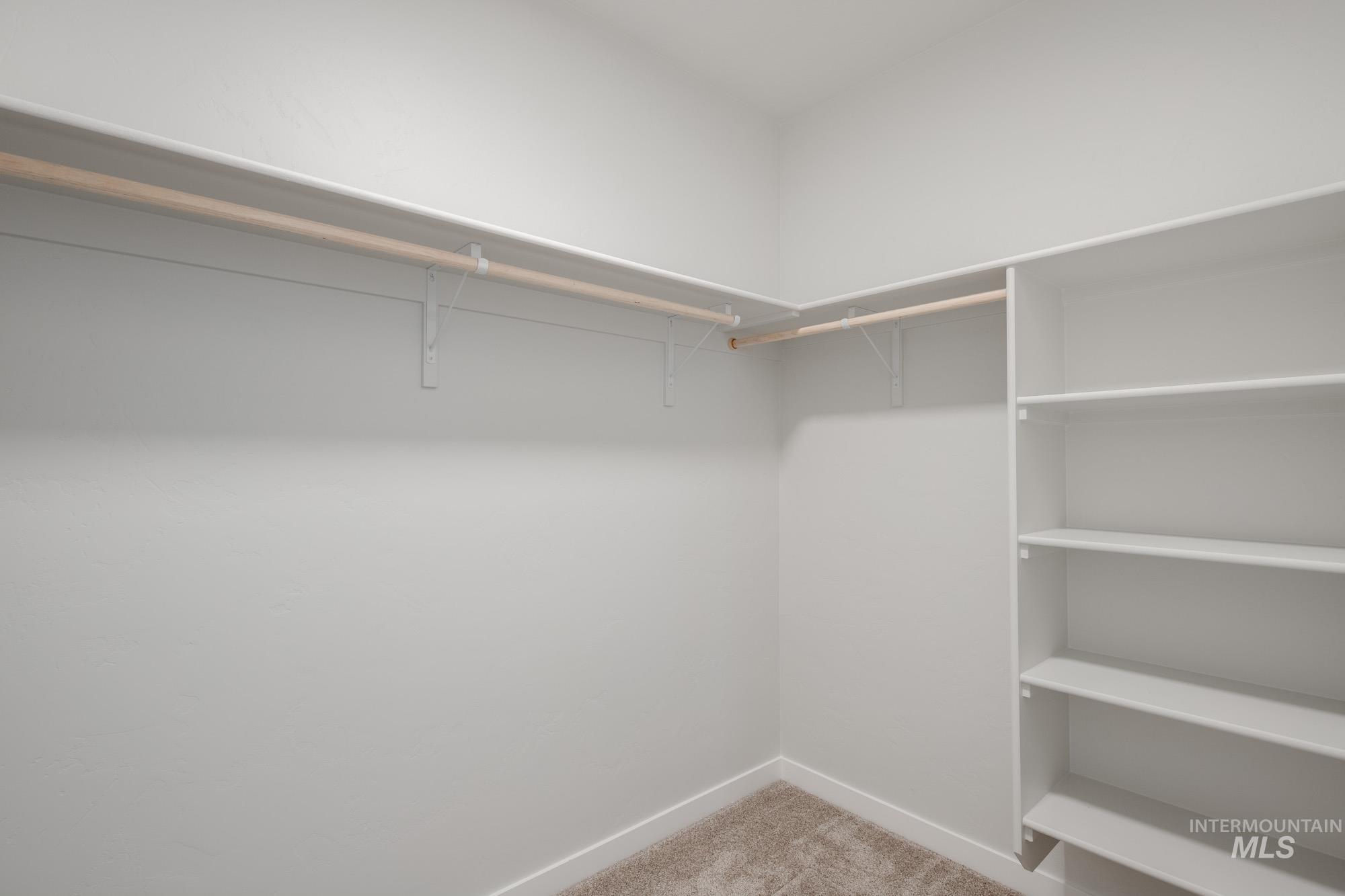 2231 South Border Way Meridian, ID 83642 - Photo 17 of 23 Walk in closet featuring light carpet
