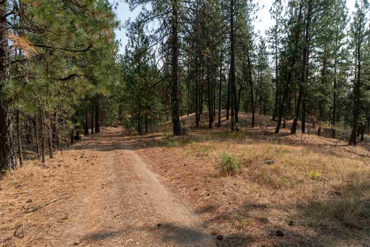 5611 South Swenson Road Nine Mile Falls, WA 99026 - Photo 42 of 50 Gallery Image 42