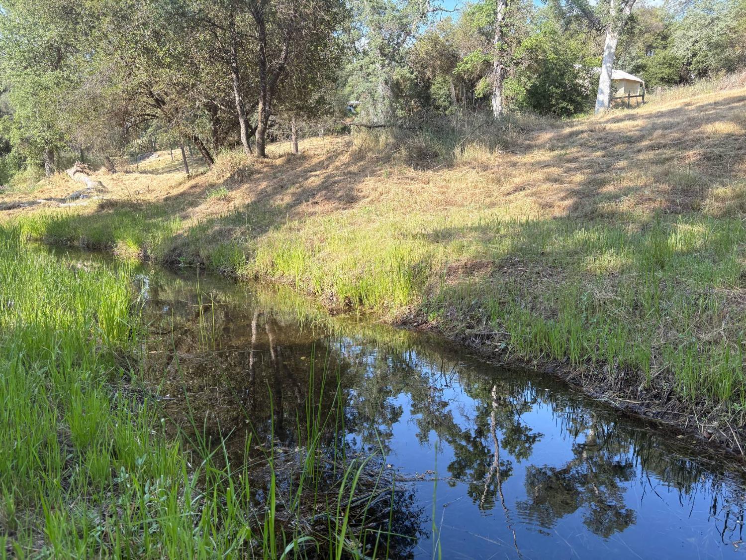 507 Chickasaw Road Coarsegold, CA 93614 - Photo 6 of 9