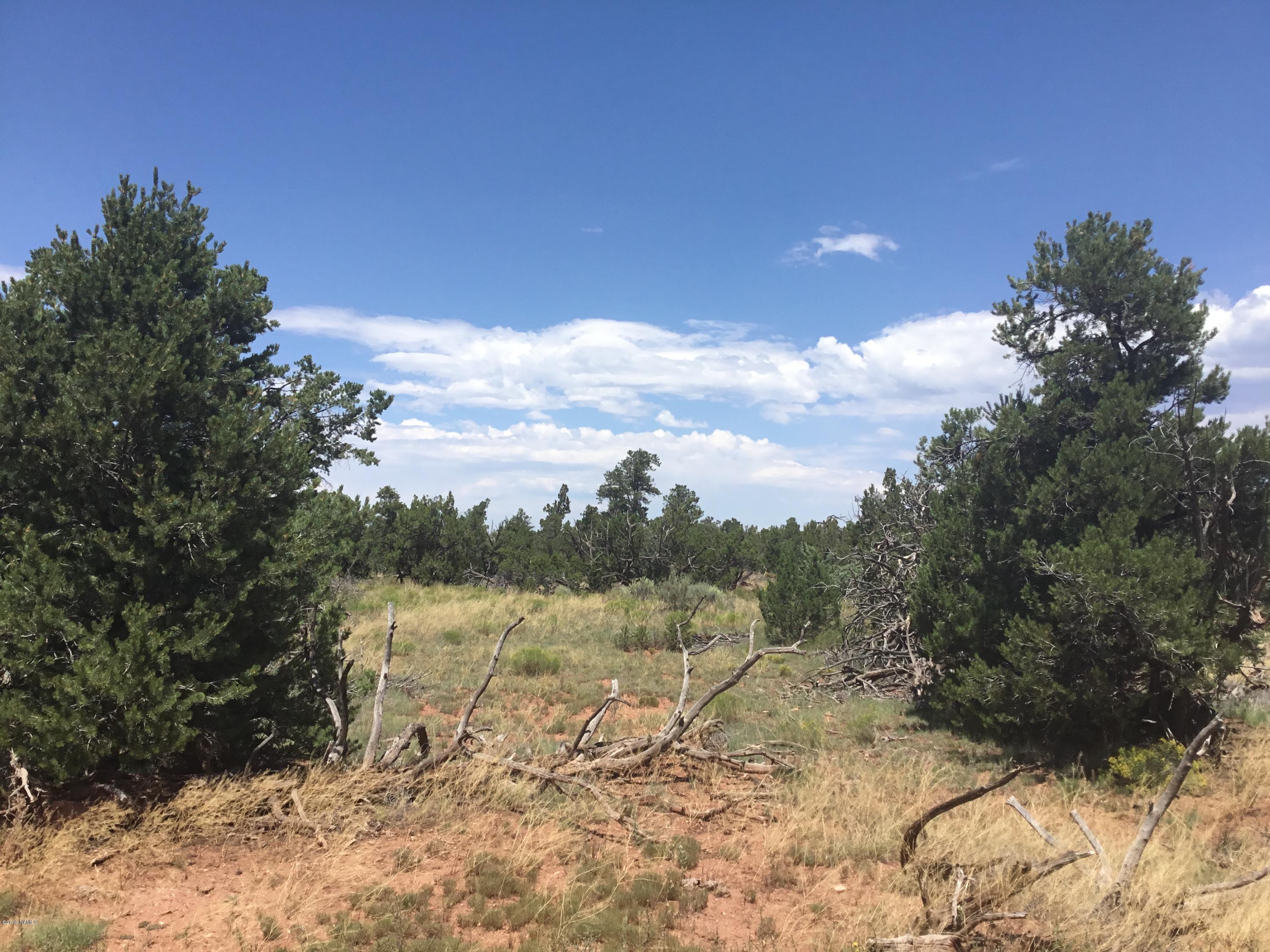 6363 Red Butte Road Williams, AZ 86046 - Photo 1 of 8 BBEC40D9-5623-40F7-954F-6C555F37C77E